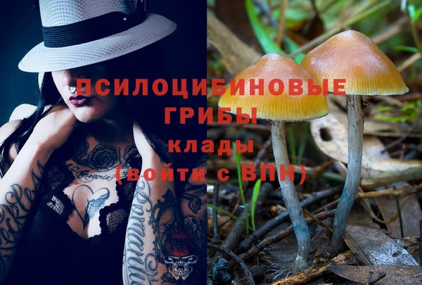 СК Богородицк
