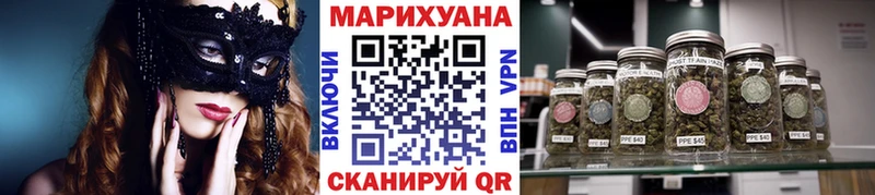 Канабис конопля Шатура
